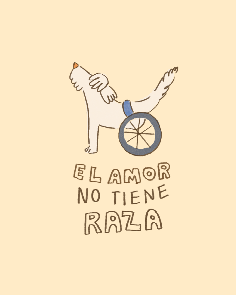 portada_ilus_perritos1